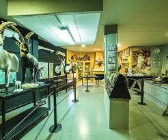 museo
